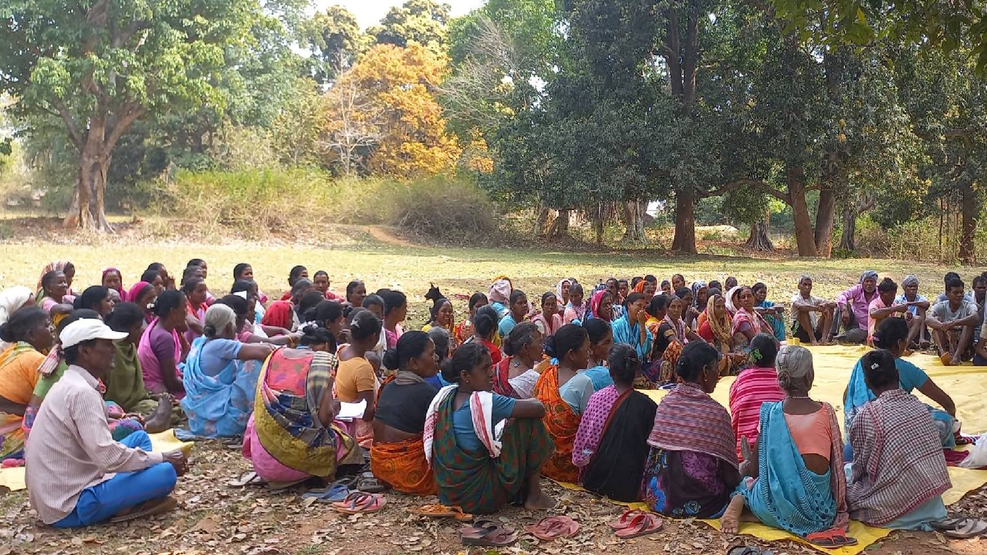gram sabha in CG
