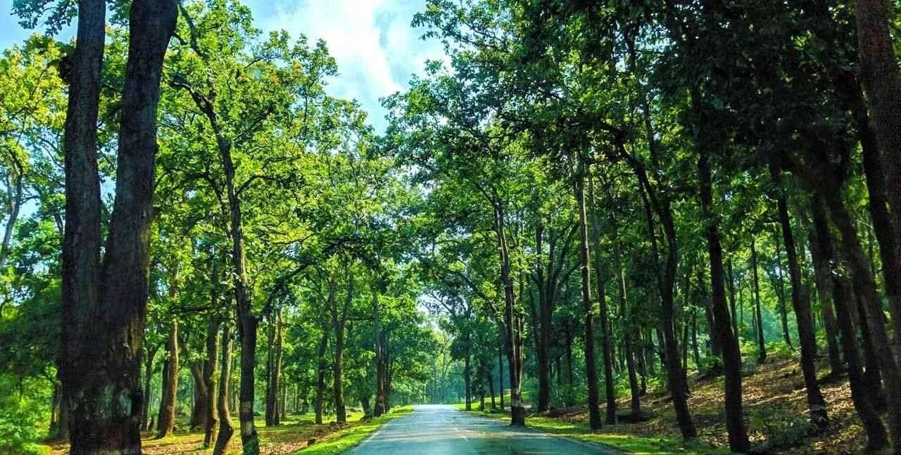 green chhattisgarh